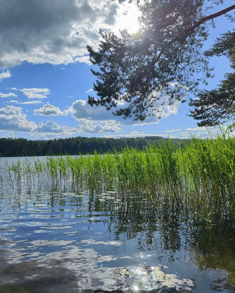 Йога-Пикник, фотография с прошлых мероприятий